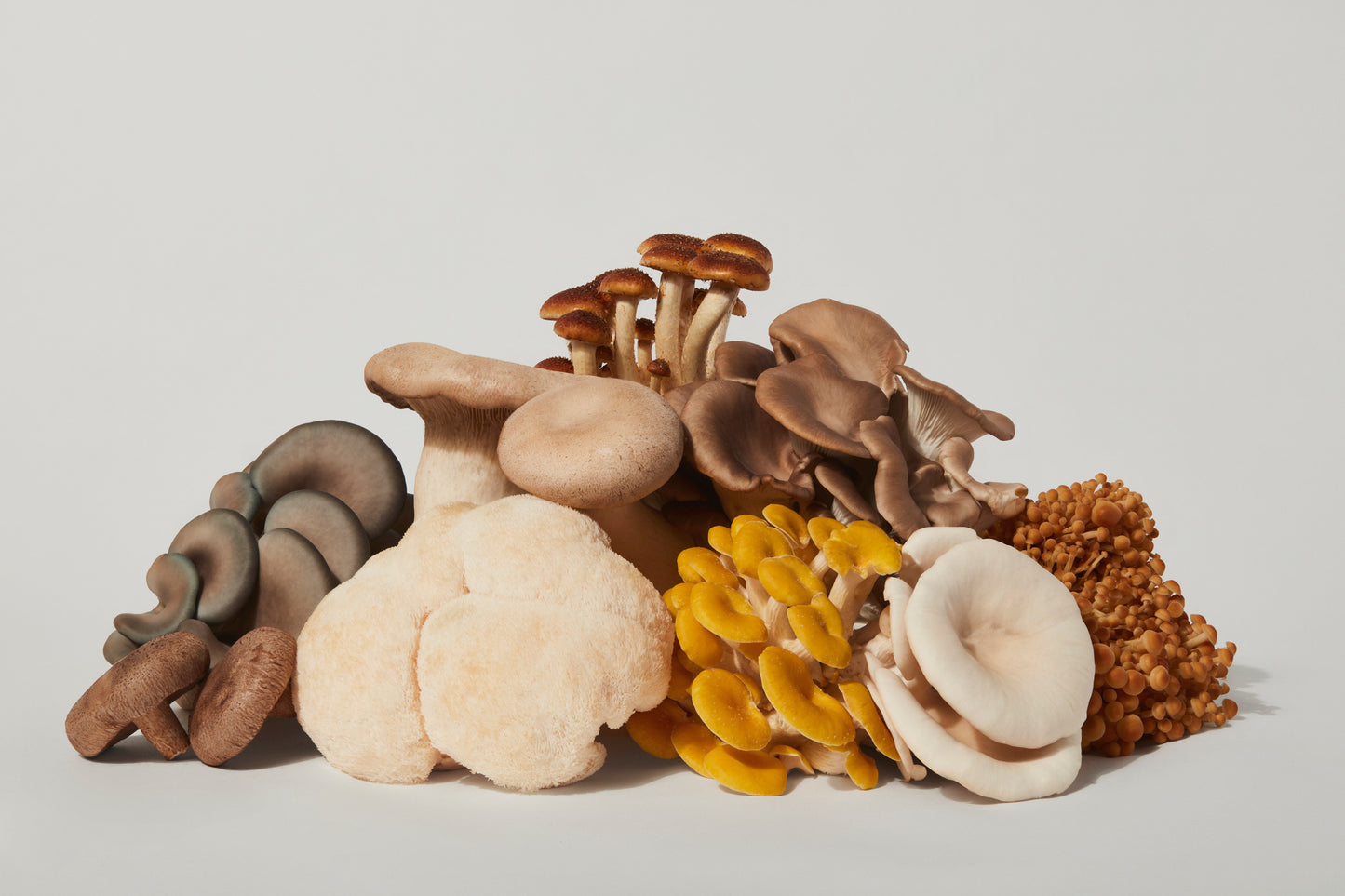 Boîte découverte - 1kg