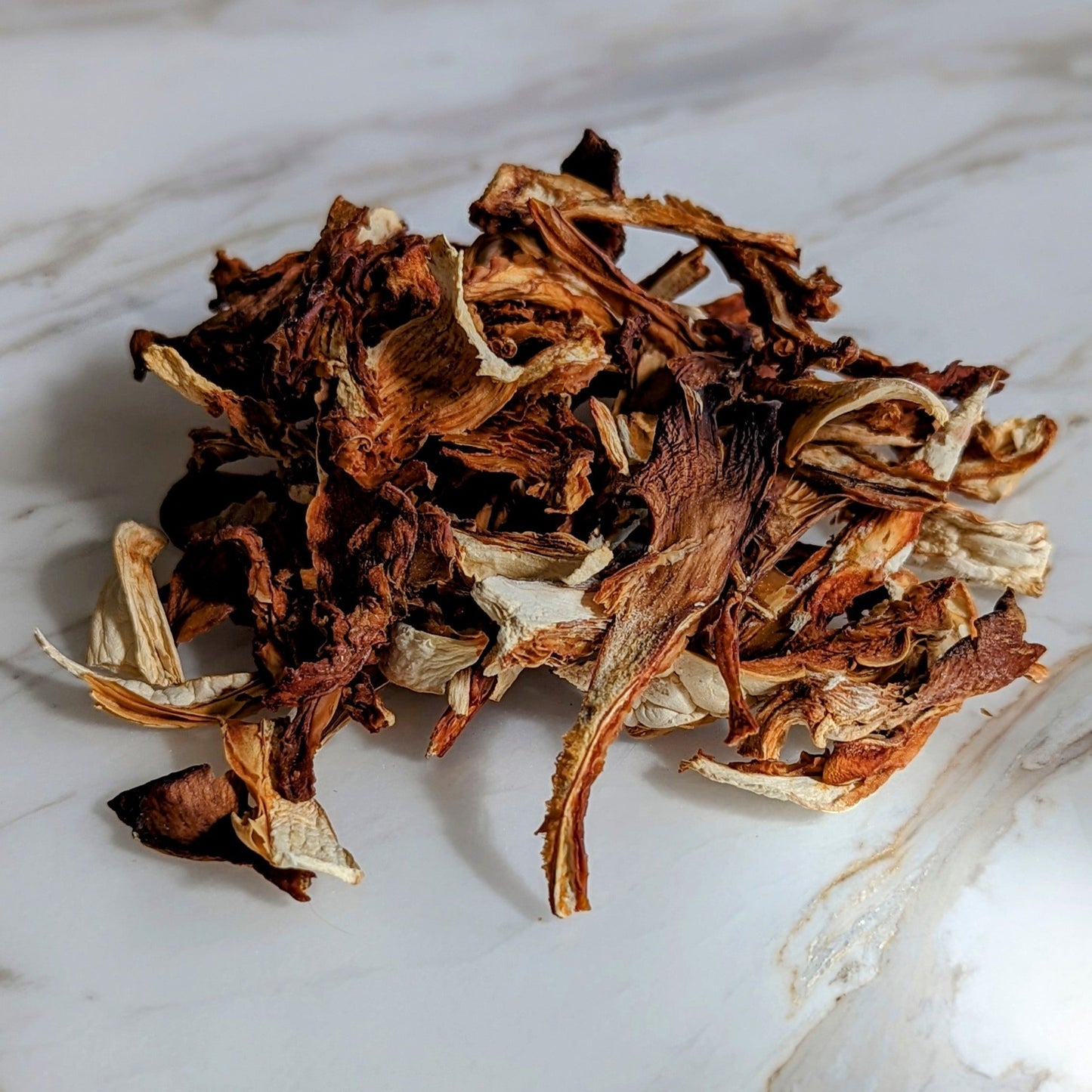 Champignons séchés